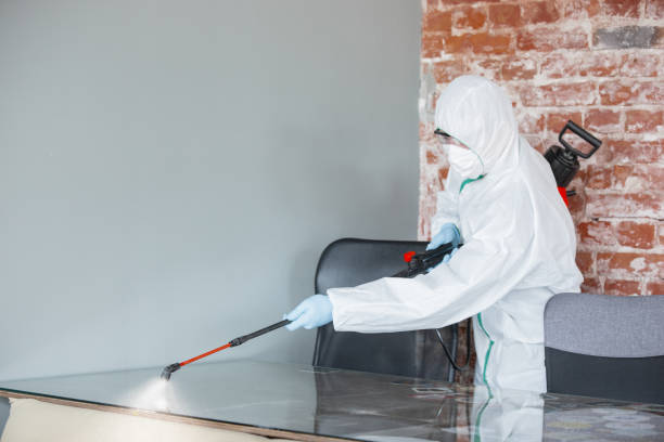 Best Residential Mold Inspection & Testing in Mehlville, MO