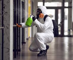 Best Mold Prevention Services in Mehlville, MO